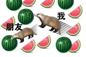 娱乐大晨吃瓜,揭秘娱乐圈最新吃瓜事件，带你领略明星幕后故事