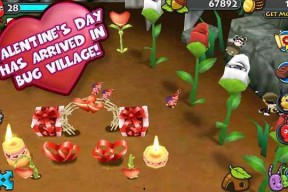 虫虫部落吃瓜爆料密码,吃瓜爆料密码背后的秘密大公开